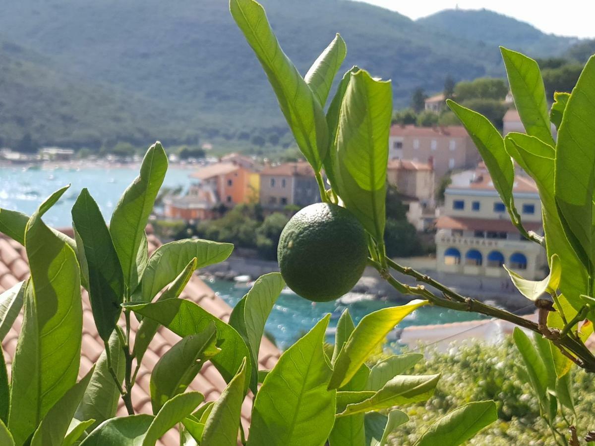 Apartament Mirella *